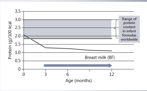 infants-born-to-overweight-or-obese-mothers