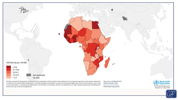 Liver cancer across Africa 2018