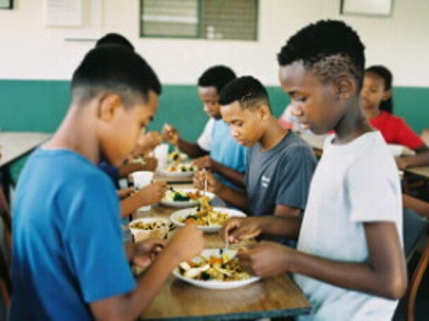 The Role of School Feeding Programmes