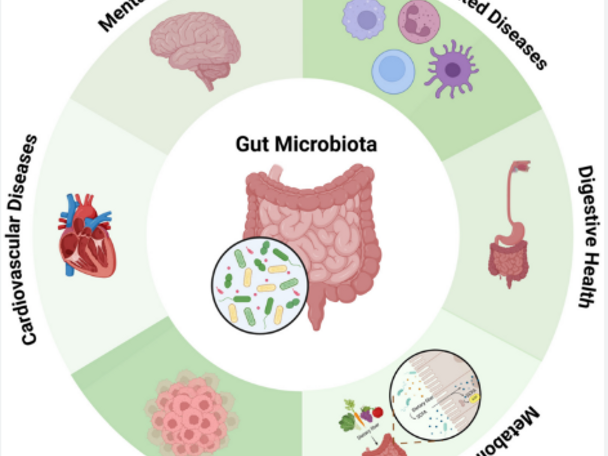 Gut Microbiota