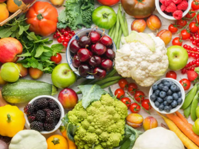 Nutrition's role in health and wellness