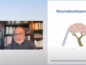 Brain Growth and development