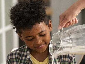 Dairy as a Nutrient-Dense Food Matrix for Toddler Growth