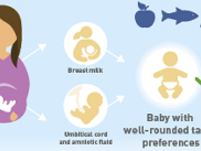 Infographic_landscape