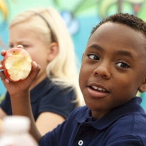 Personalising Nutrition