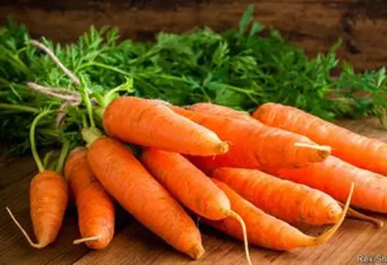 carrots