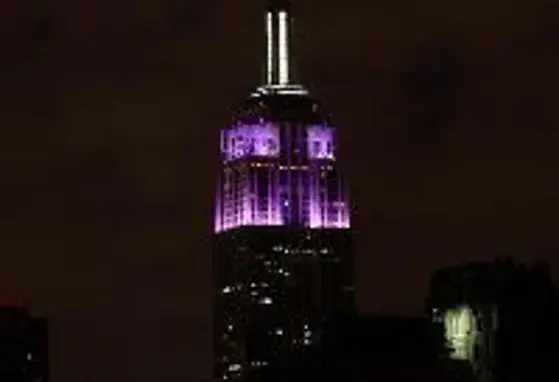Empire state building goes purple