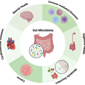 Gut Microbiota