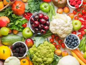 Nutrition's role in health and wellness