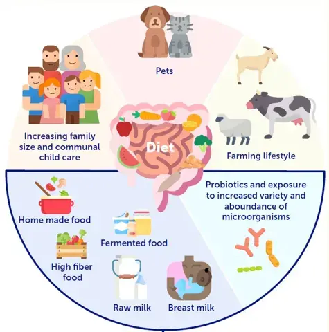 gut bone axis gut bone axis