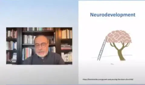 Brain Growth and development Brain Growth and development