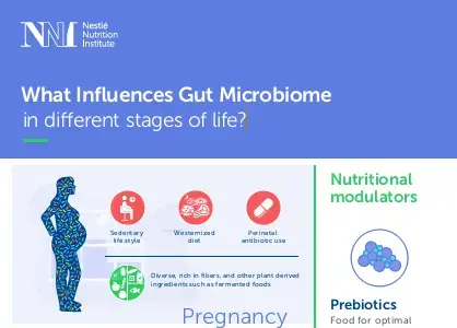 What Influences Gut Microbiome What Influences Gut Microbiome